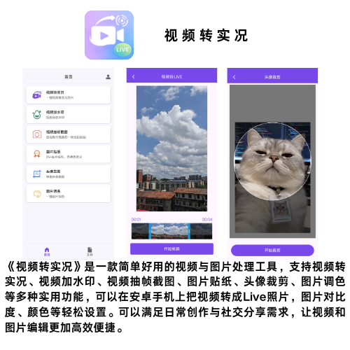 强亮科技